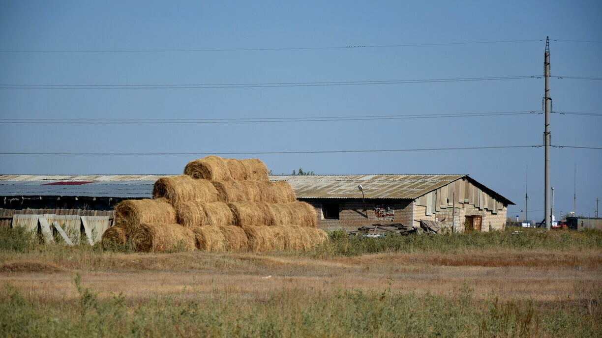 В Башкирии введут режим чрезвычайного положения из-за гибели посевов