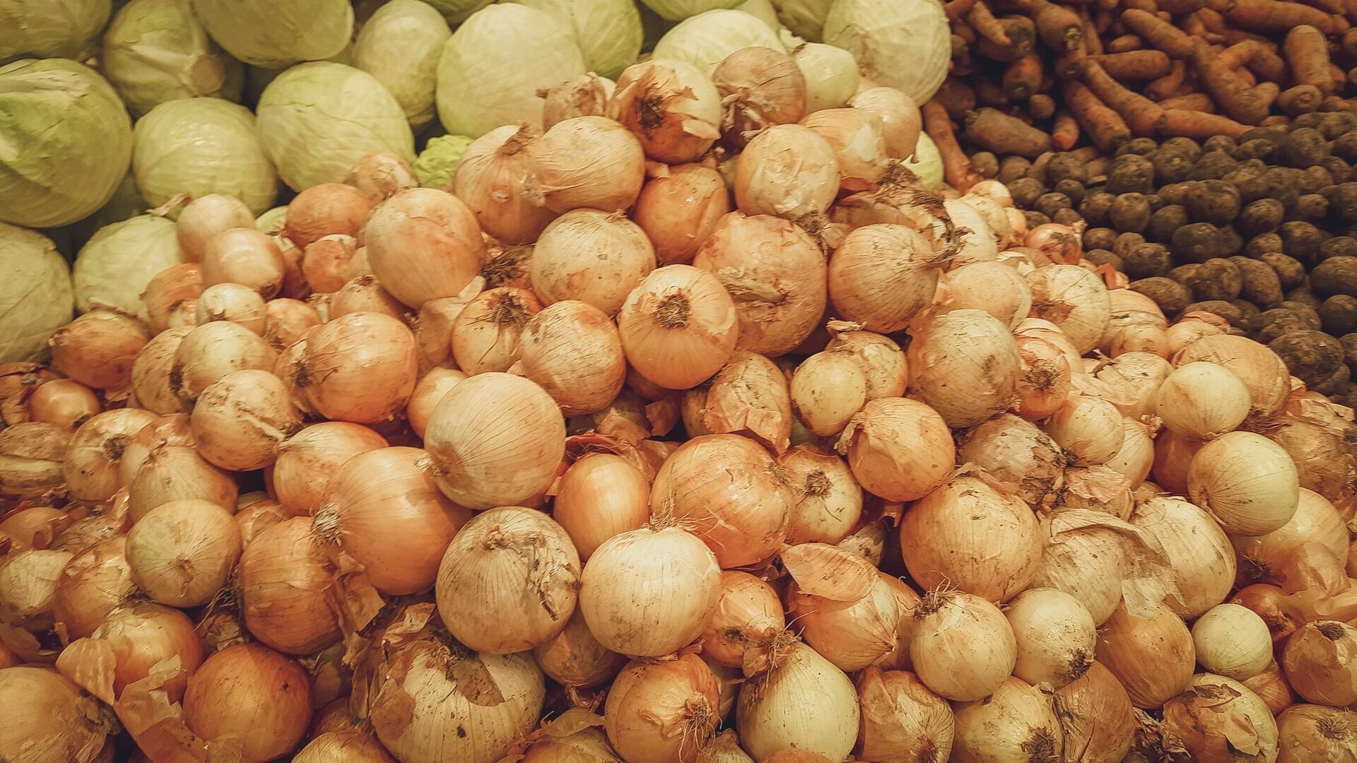 Горе луковое: изучаем, как в Башкирии цена на овощ взлетела за 7 дней в два раза