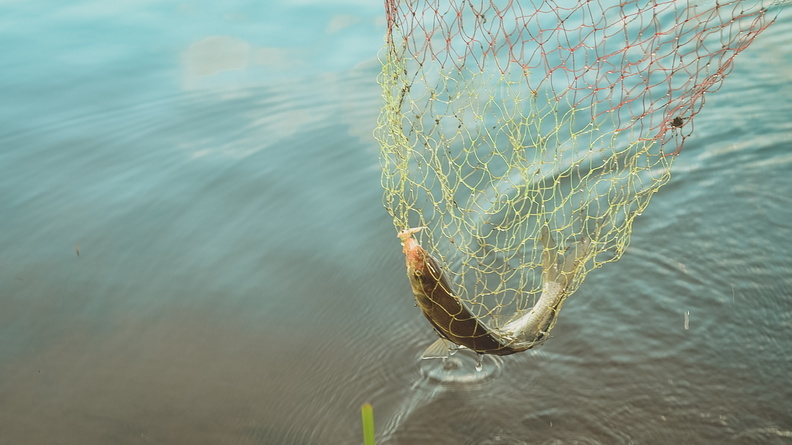 В Башкирии ввели запрет на ловлю рыбы