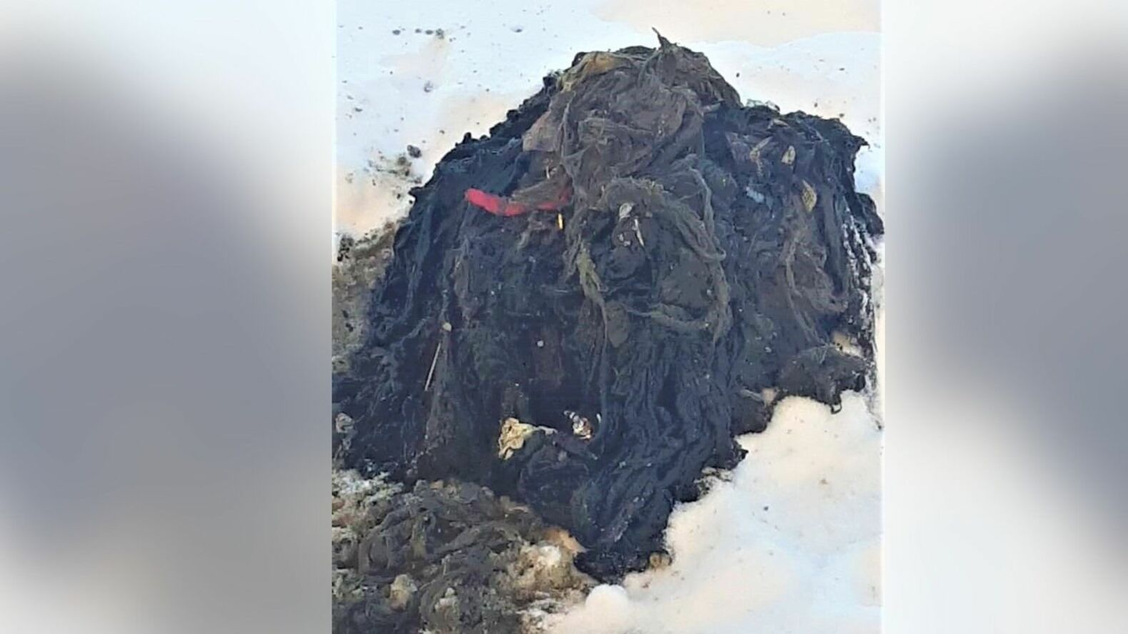 «Уфаводоканал» показал гору «унитазного» мусора, из-за которого прорвало канализацию