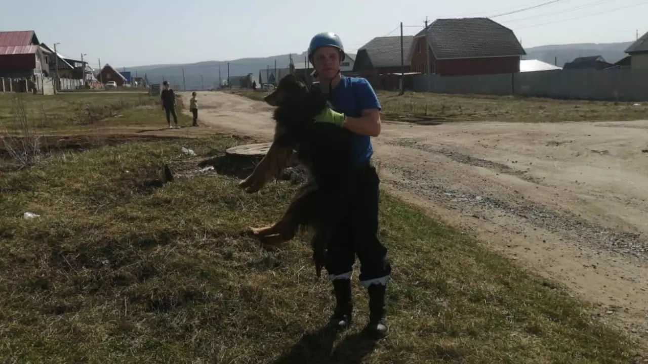 В Башкирии спасатели вызволили из водопроводного люка провалившуюся собаку
