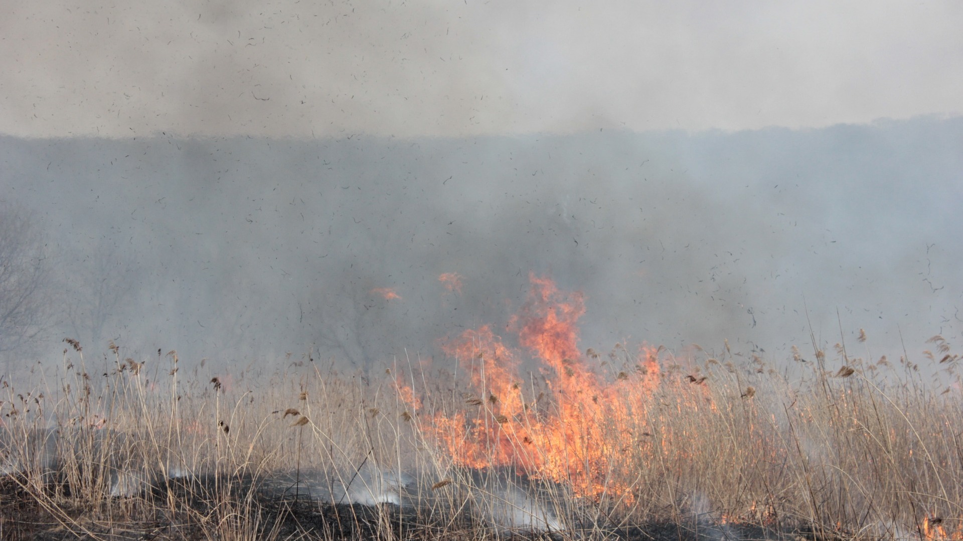 В Башкирии сняли режим «чрезвычайной ситуации», введенный ранее из-за крупного пожара