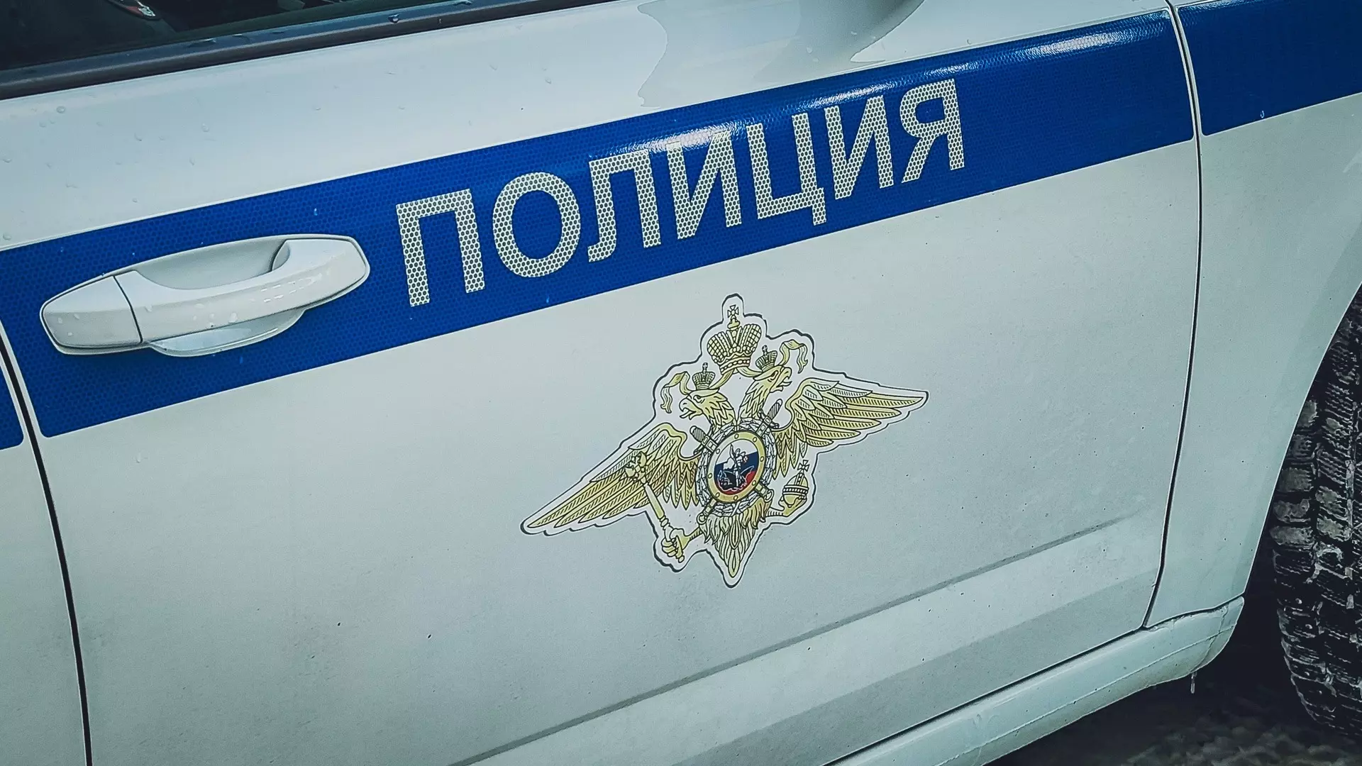 МВД установило подозреваемого в расстреле полицейских под Москвой