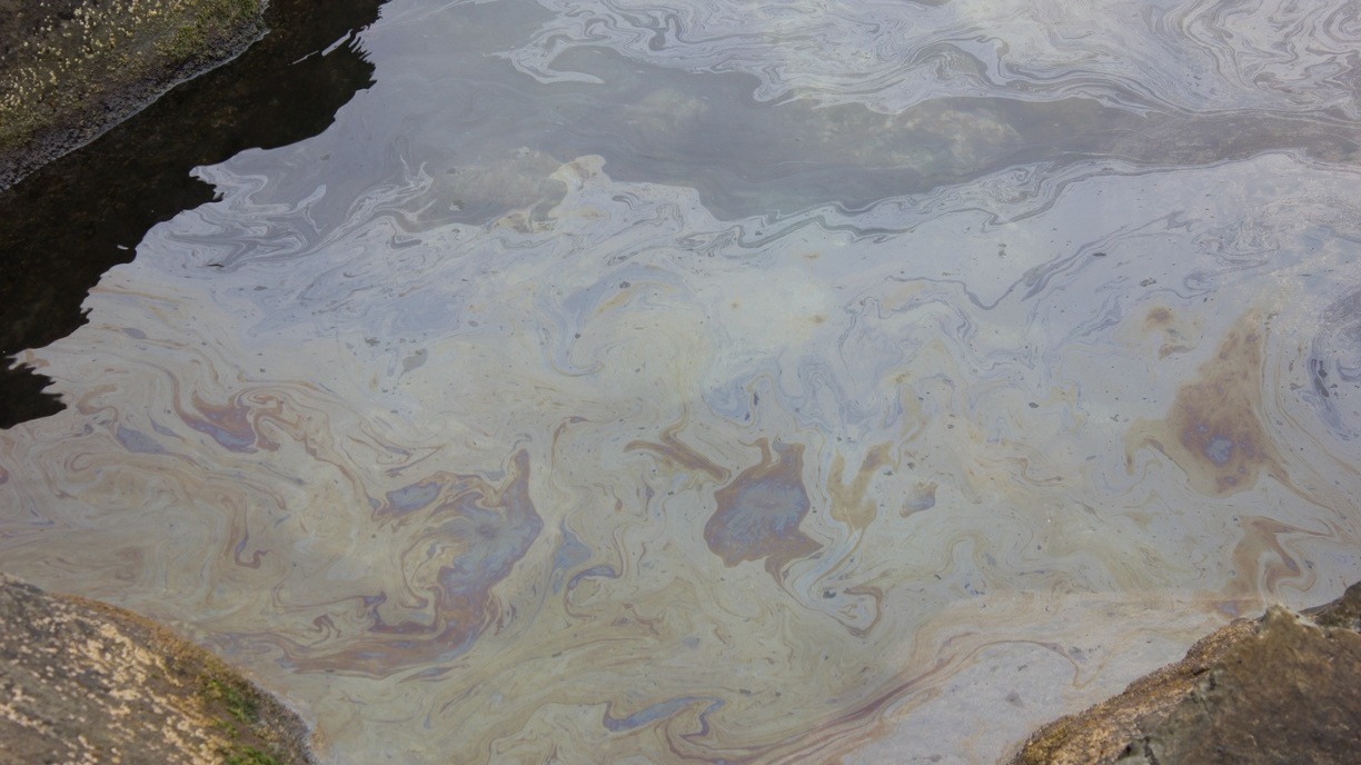 Очевидцы сообщили о разливе нефти на берегу реки Белой на северо-западе Уфы