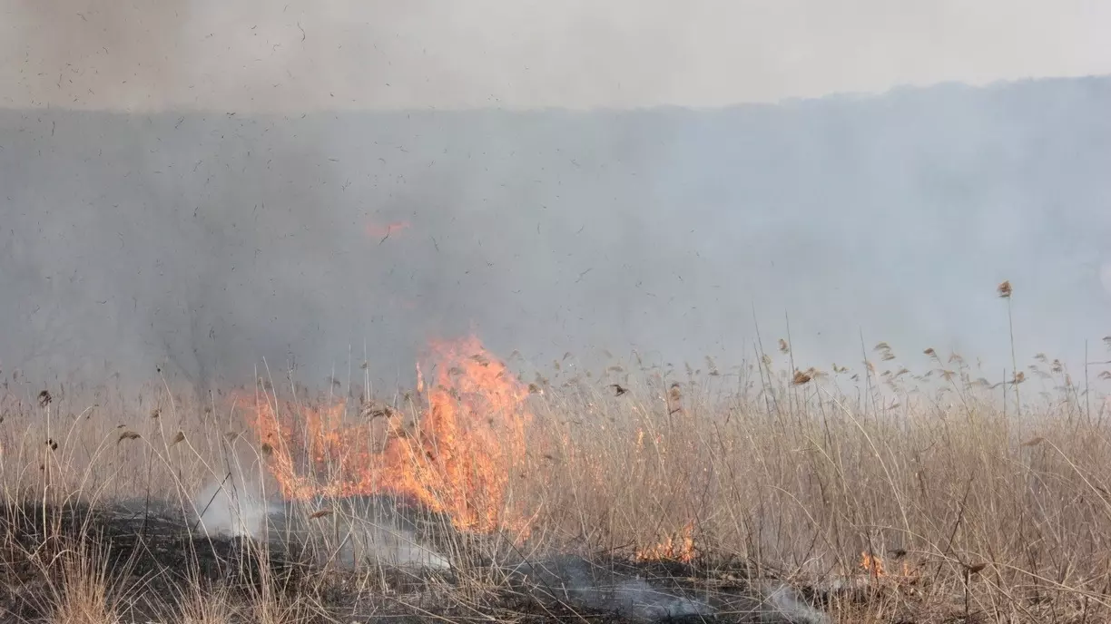 Первый лесной пожар в году вспыхнул на юге Башкирии