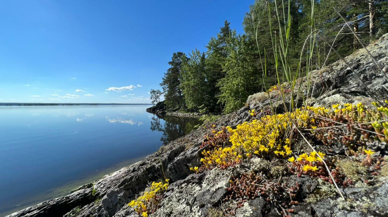 Карелия должна объединиться с Вологодской и Ленинградской областями для защиты озёр