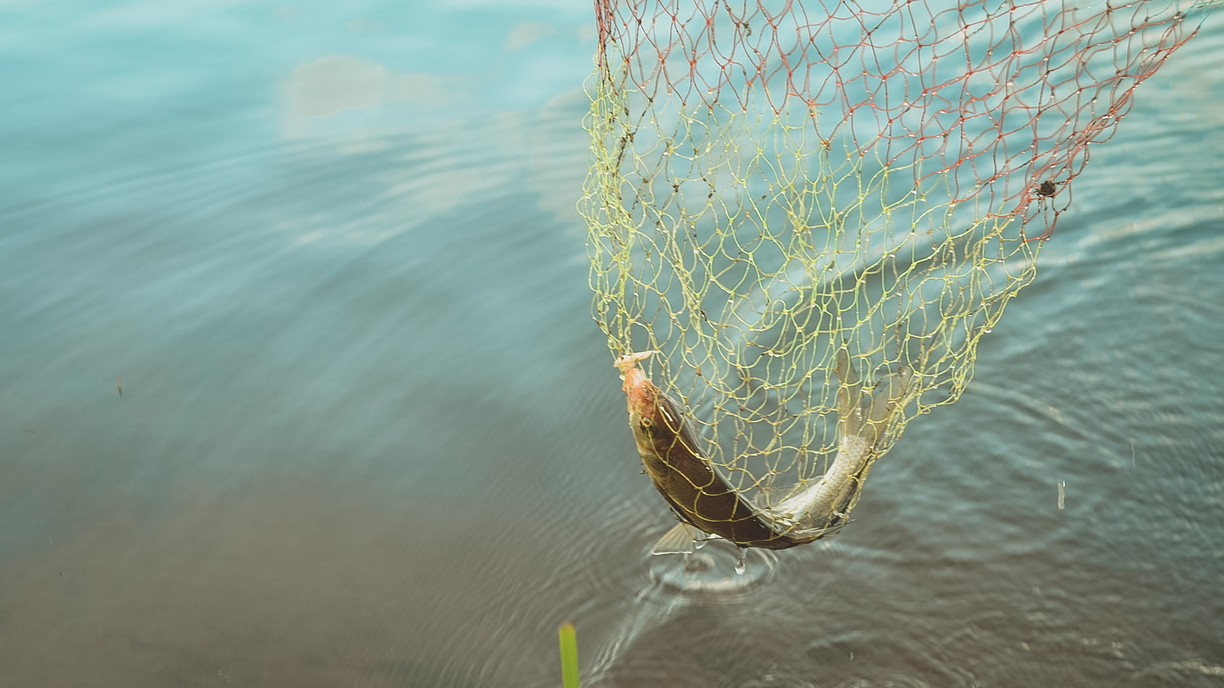 Росприродназдзор нашел отходы фермы у реки в Башкирии по следам жалоб на мертвую рыбу