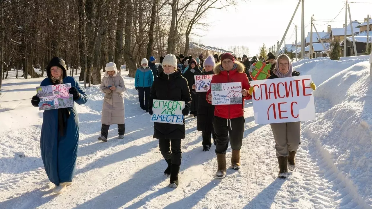 Жители «отдалённой территории» Уфы просят спасти лес от вырубки и обратились к Путину