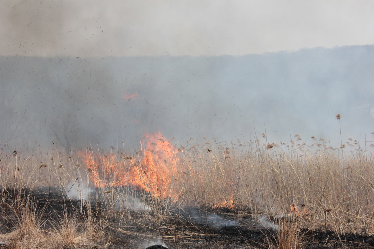 В МЧС по Башкирии предупредили о высокой пожароопасности
