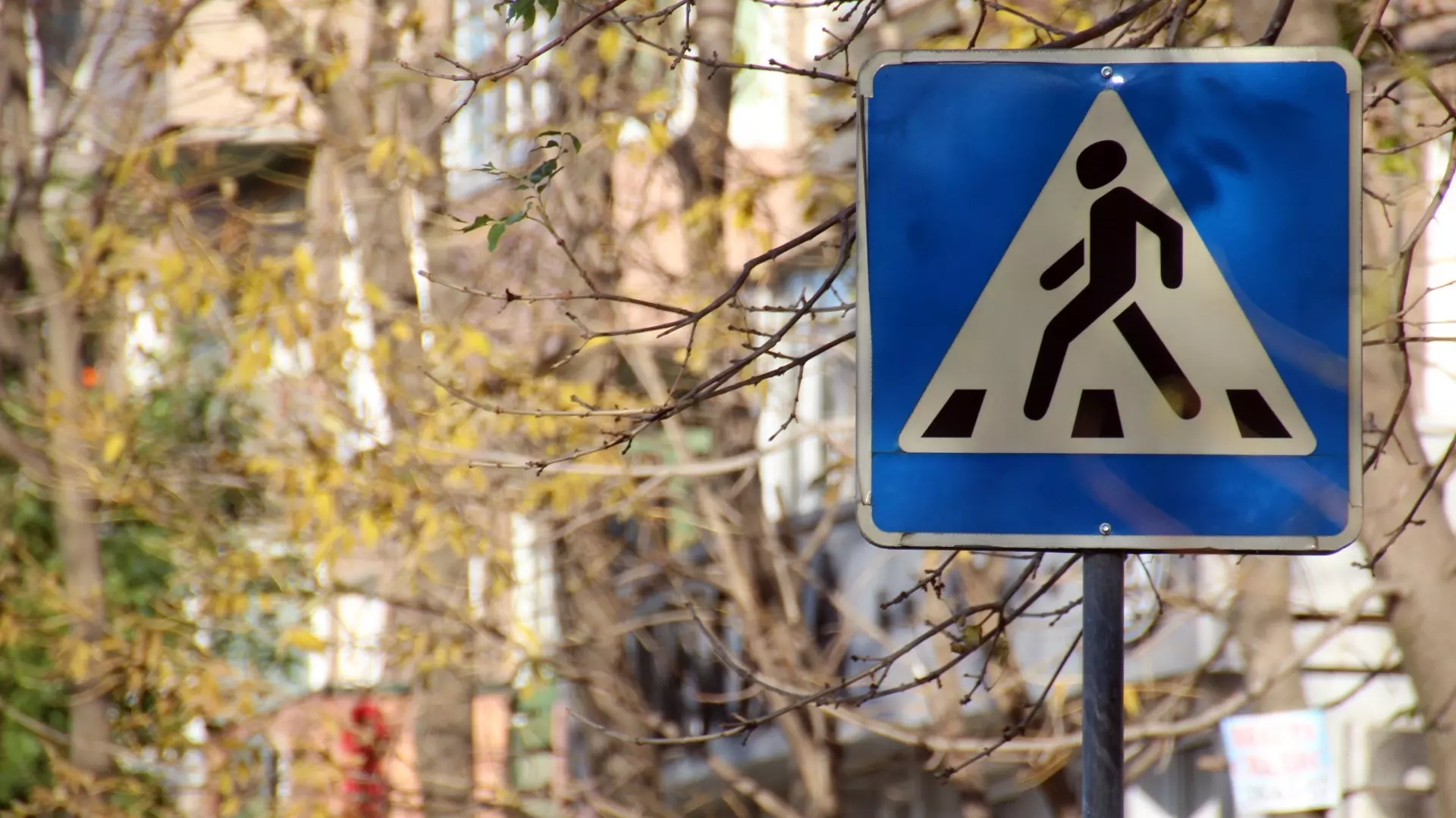 В центре Уфы изменится схема движения для пешеходов