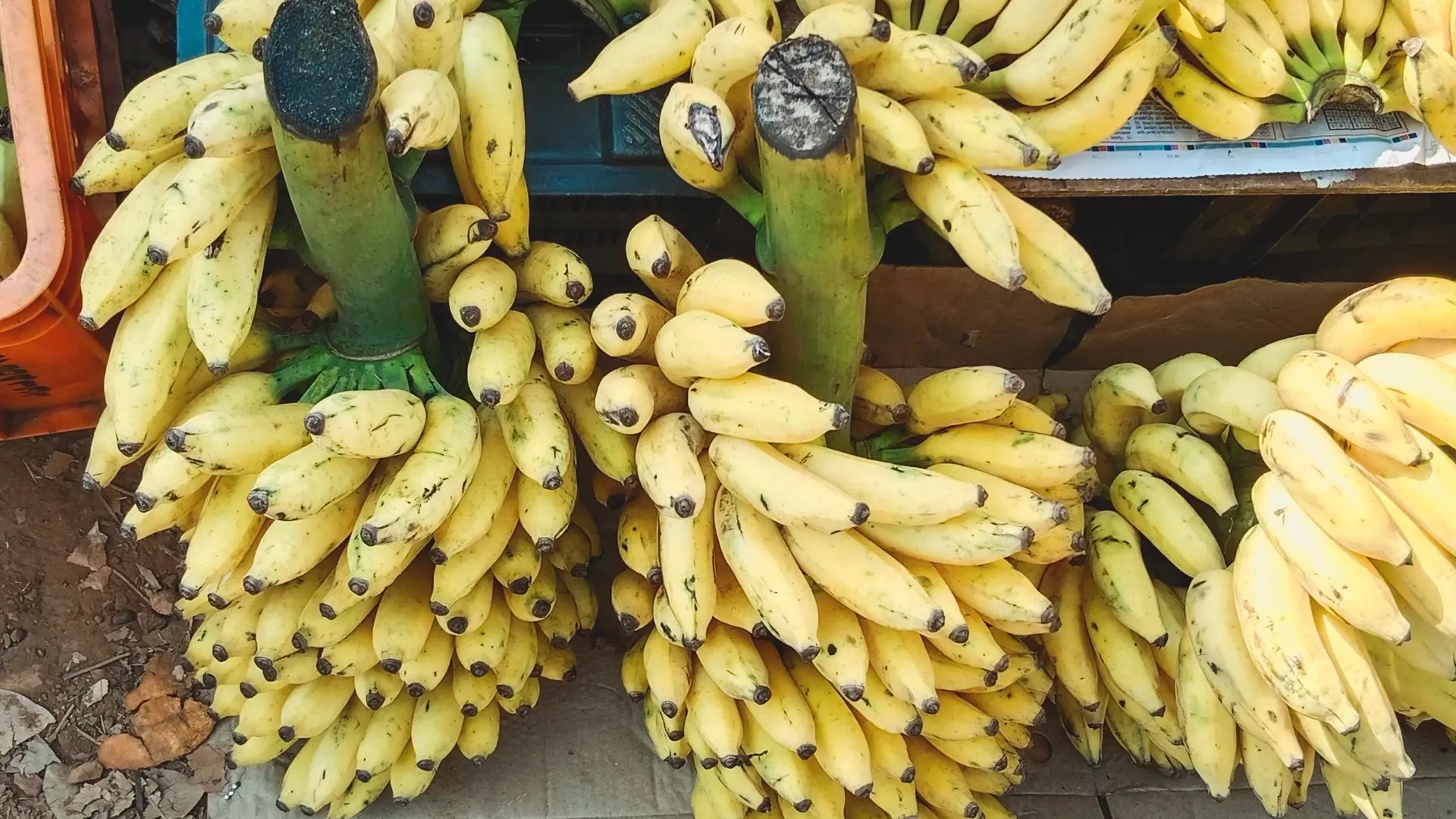 Из-за мятежа мафии в Эквадоре в Башкирии может случиться дефицит бананов