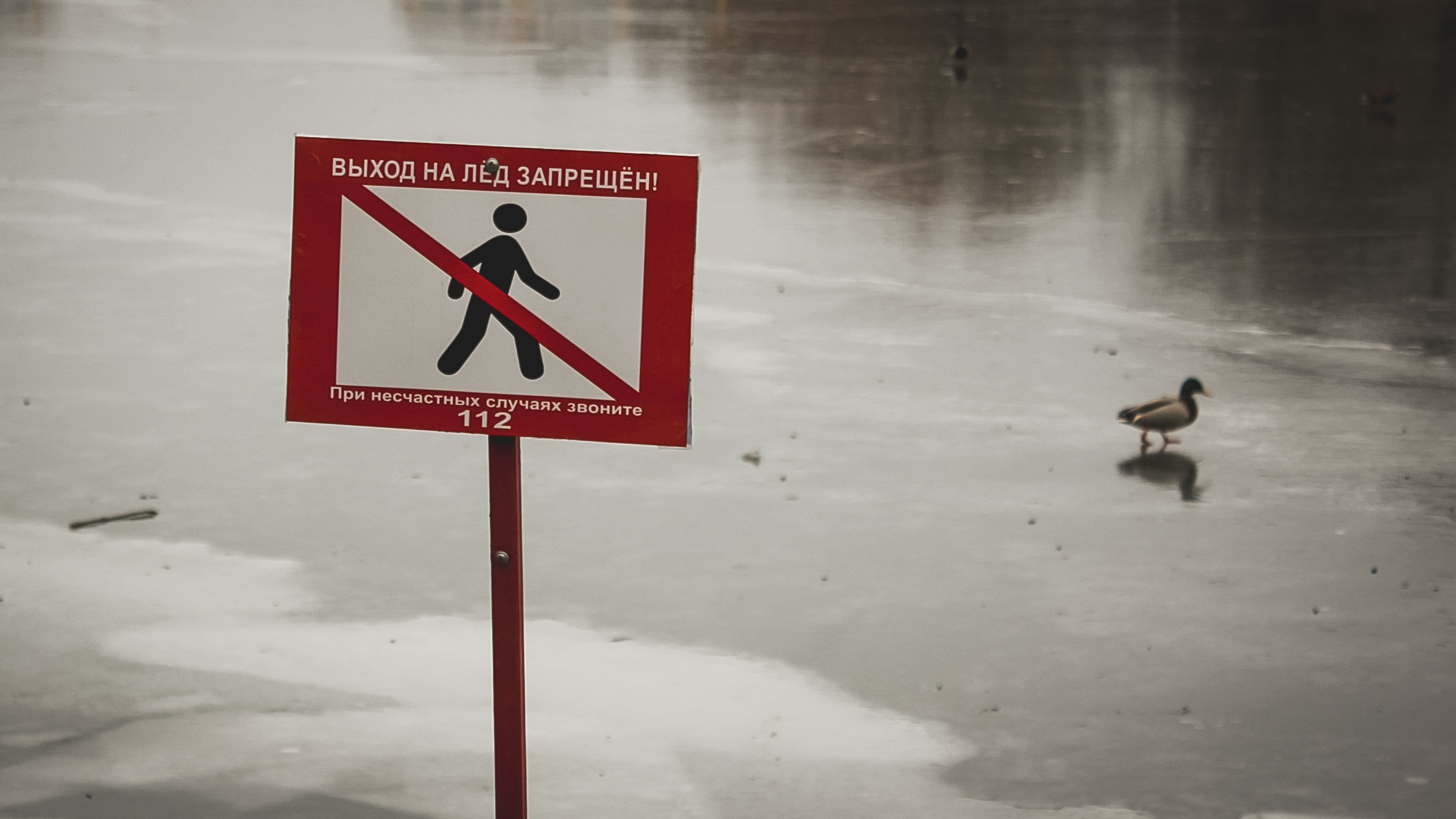 В Башкирии перестали работать все ледовые переправы