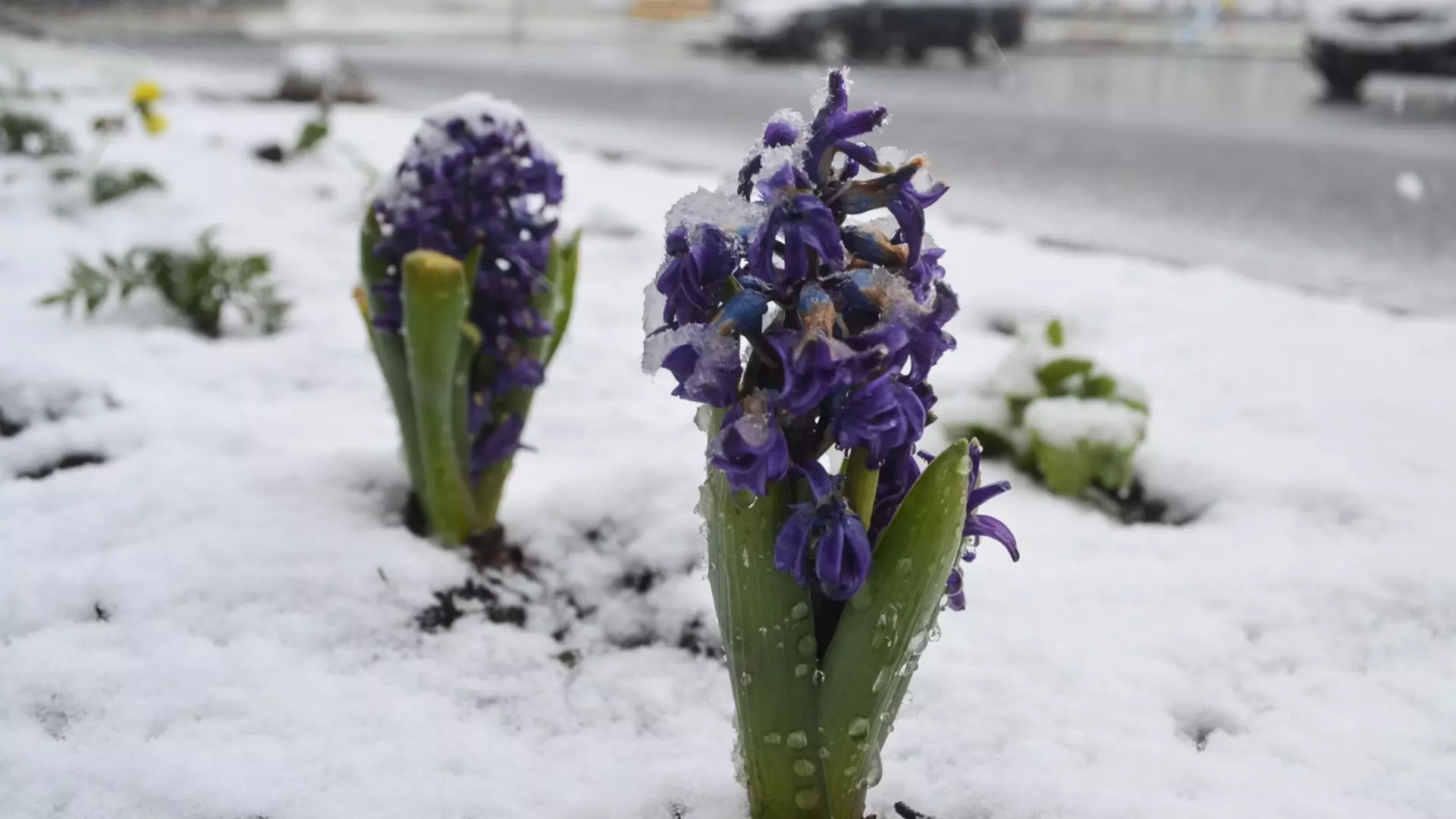 В Башкирии снова ожидается похолодание со снегом