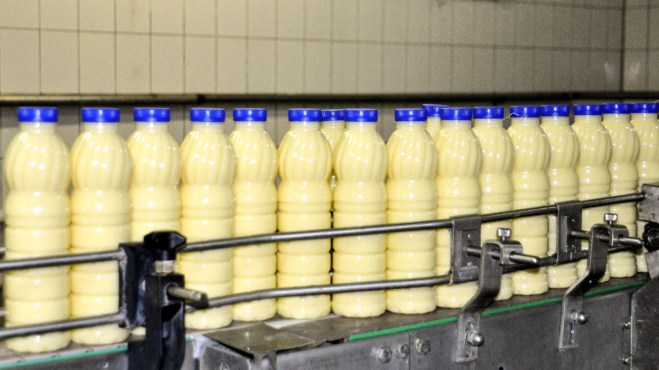 В произведенном в Башкирии молоке Роскачество обнаружило фитостерины