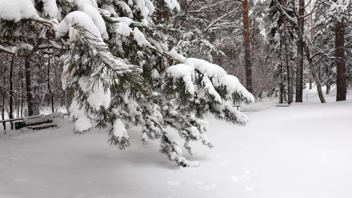Холодной и снежной будет текущая неделя в Башкирии