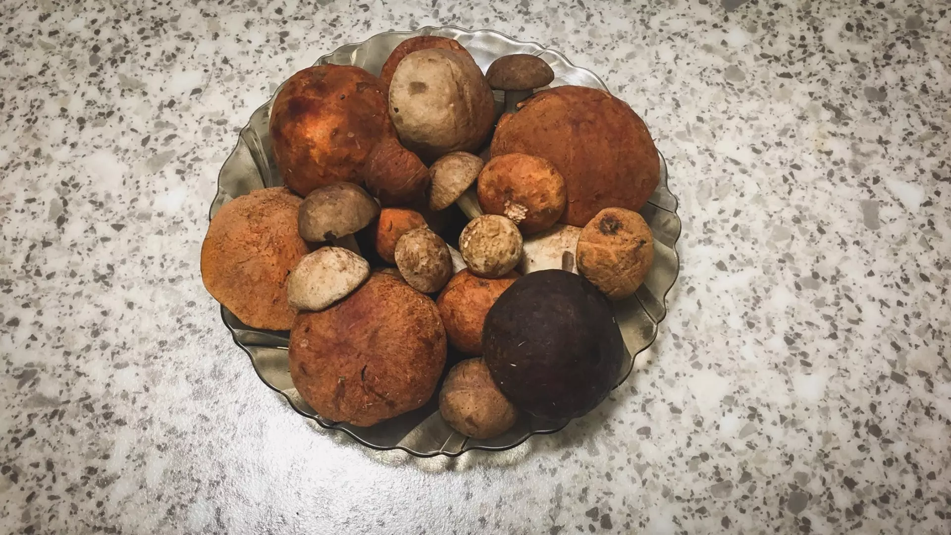 Гигантский и редкий гриб был найден в Башкирии