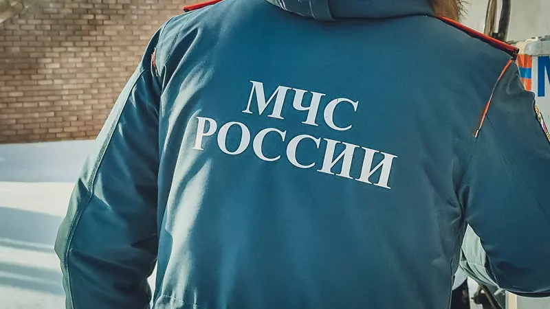 В МЧС Башкирии раскрыли подробности о пожаре на базе отдыха «Лукоморье»