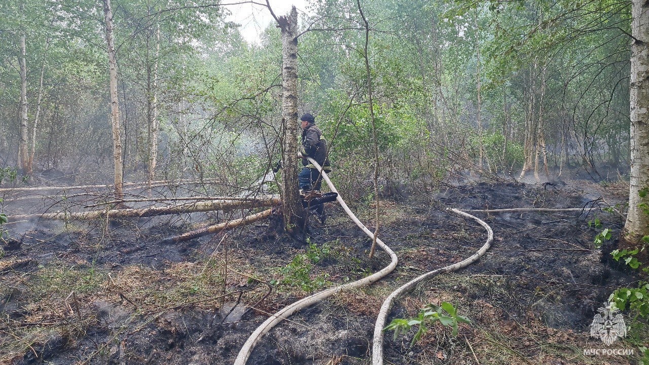 В Башкирии ликвидировали лесной пожар, который тушили с 28 мая