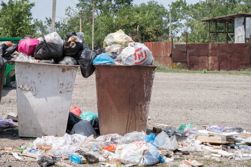 Власти Уфы посчитали причиной распространения мышиной лихорадки плохую уборку мусора