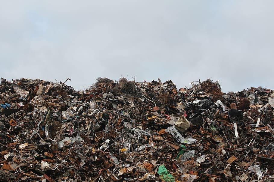 Эксперты РЭО создали виртуальный тур для изучения мусорных полигонов