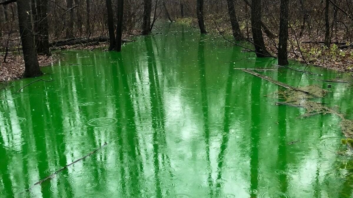 Кислотно-зеленой водой из ручья в Уфе заинтересовались в Минэкологии Башкирии