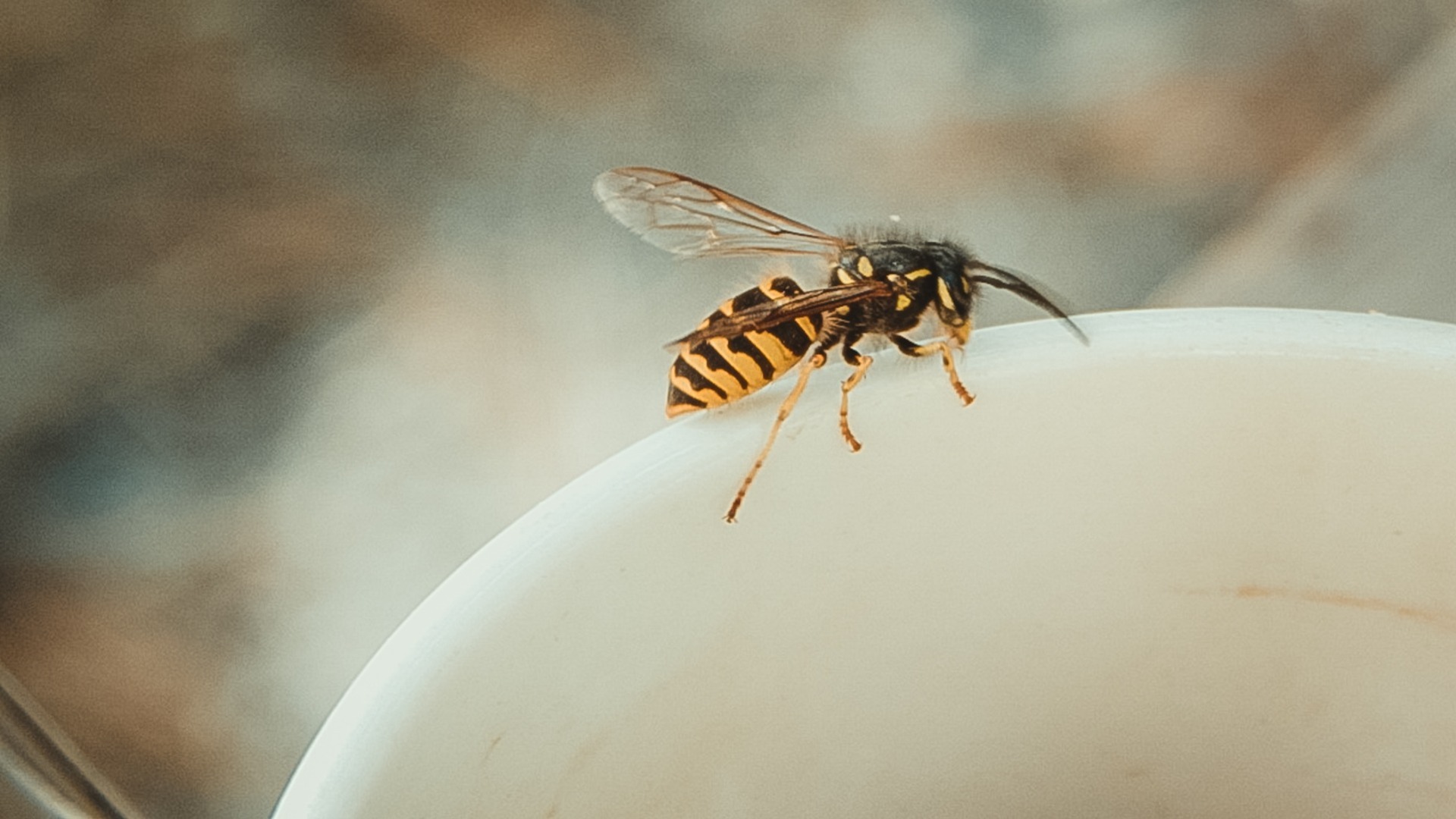 В Уфе заявили об ужасных «насекомых-союзниках» из биолабораторий Пентагона