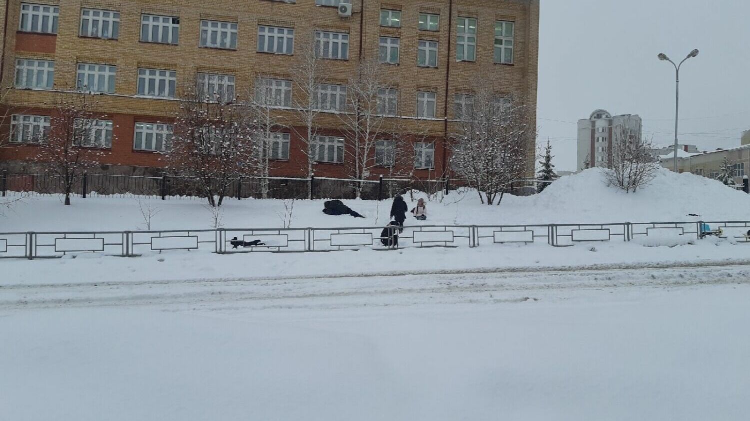 Школьники играют в снегу