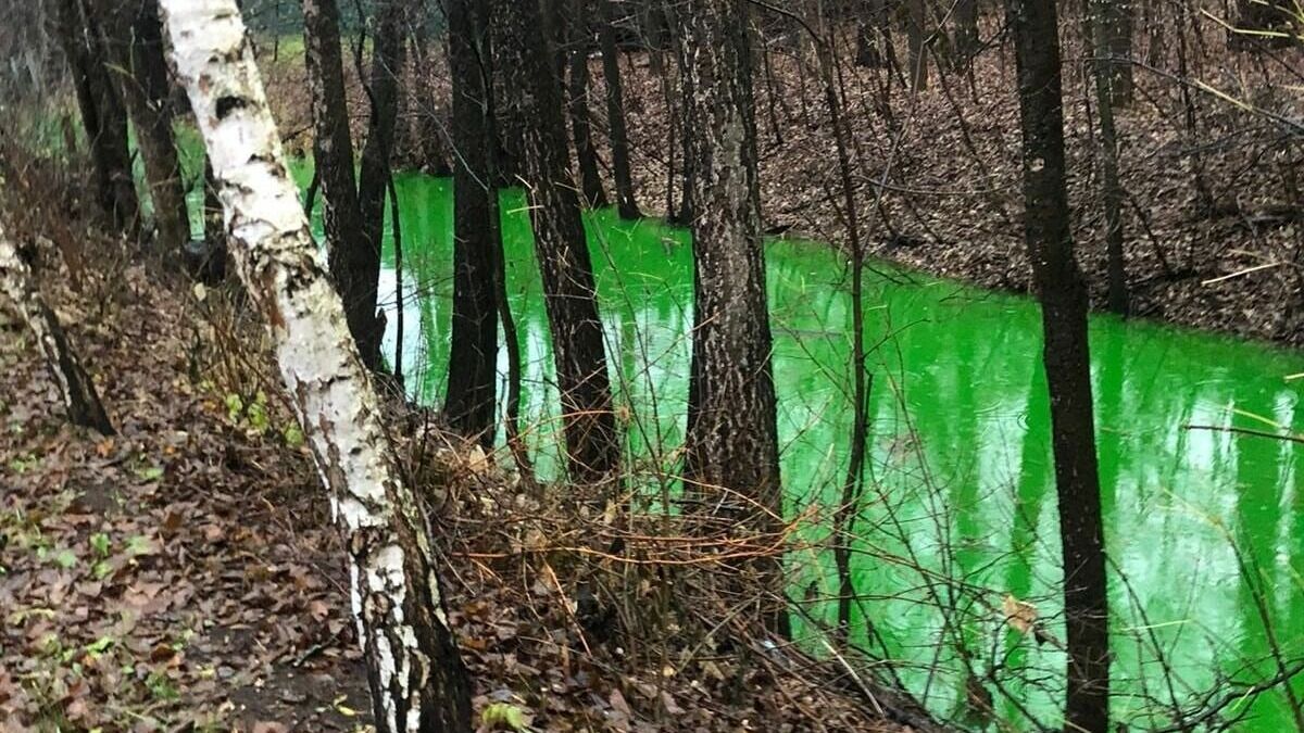 Министр экологии Башкирии заявил, что кислотно-зеленая вода в ручье в Уфе нетоксична