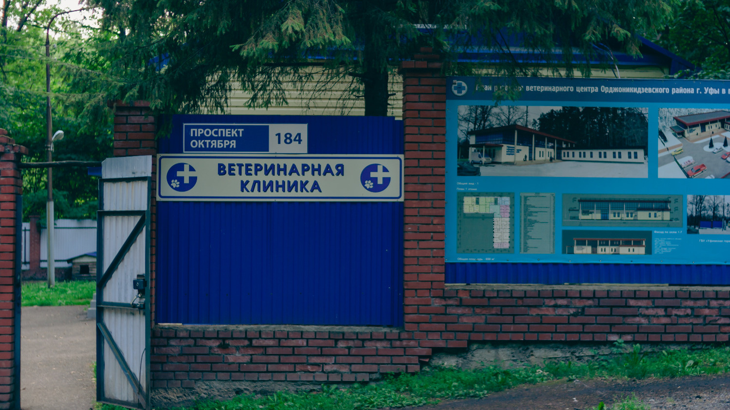 У входа со стороны остановки «Парк им. Калинина» теперь располагается ветеринарная клиника.