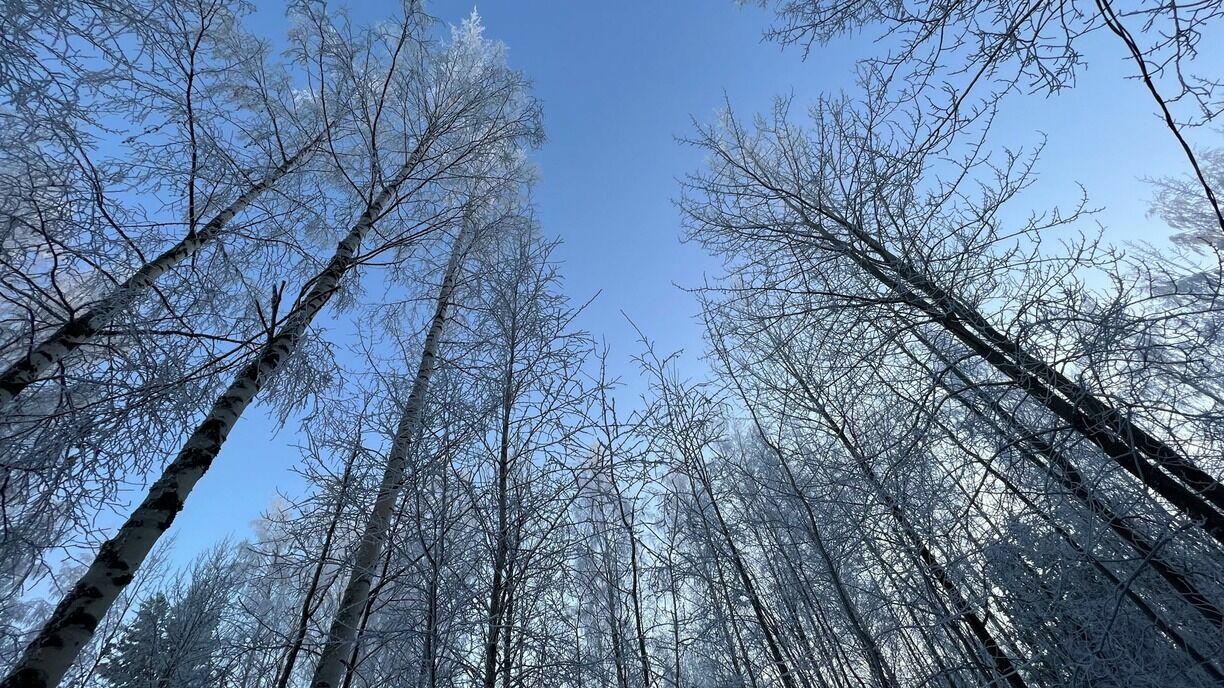 Башкирию в ближайшие дни ожидает похолодание до -23 градусов