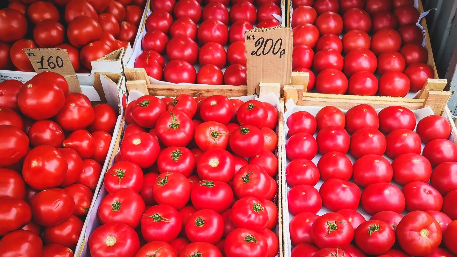В Башкирии за неделю выросли цены на помидоры, огурцы и яйца