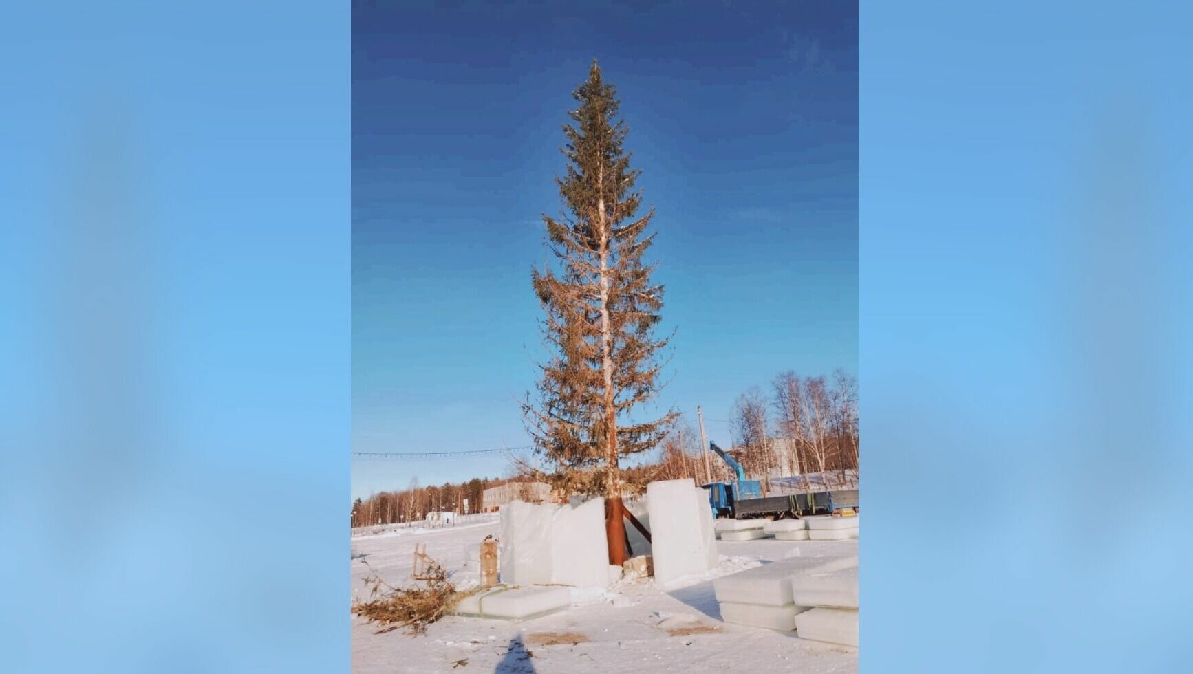 Жители Межгорья в Башкирии опозорили власти за лысую новогоднюю елку