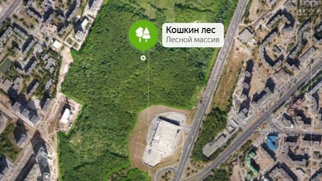Так лес выглядит в Яндекс.Картах