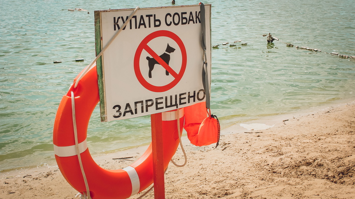 Воду в озере Кашкадан признали безопасной, но купаться там до сих пор запрещено